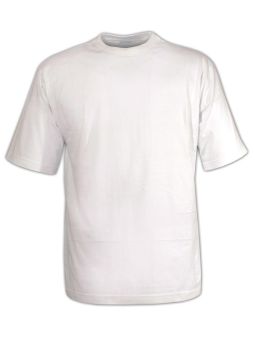 Tee - shirt uni ras du cou 510110U012