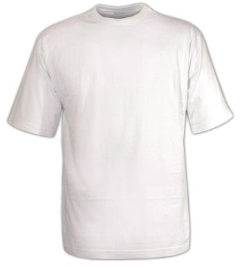 Tee - shirt uni ras du cou 510110U012