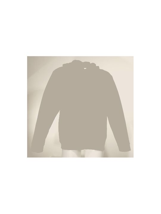 Sweat à capuche SH9021C