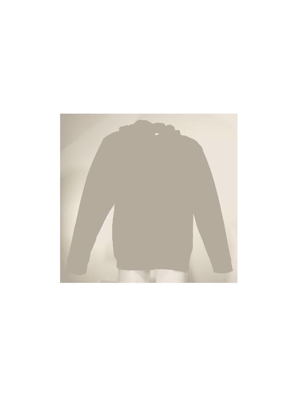 Sweat à capuche SH9021C