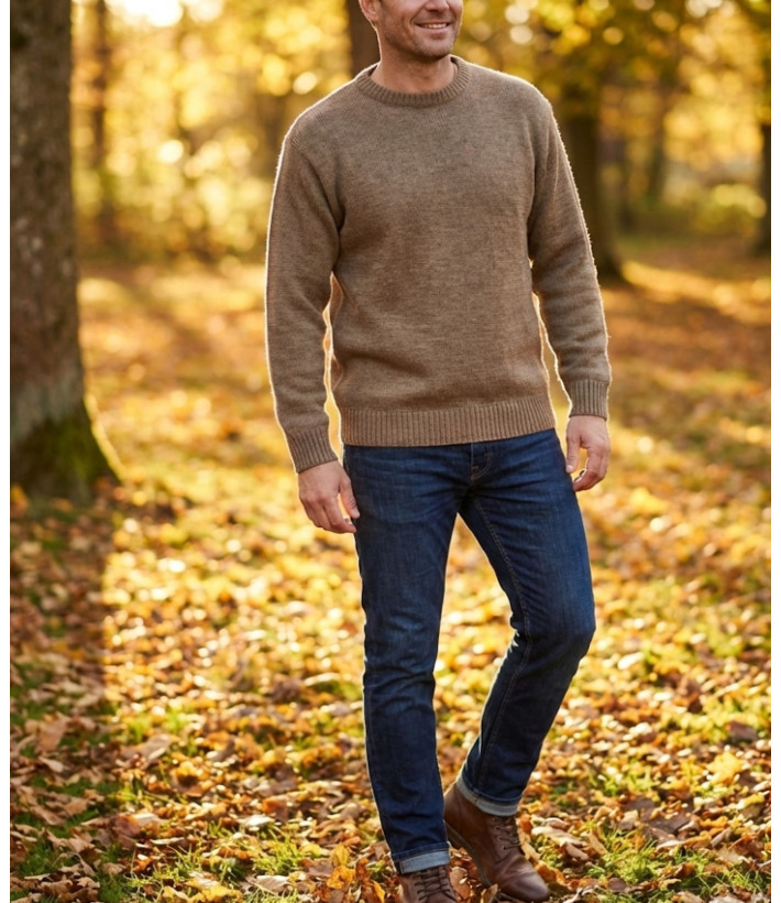 Pull homme ras‑cou Mayflower terre – confort et style