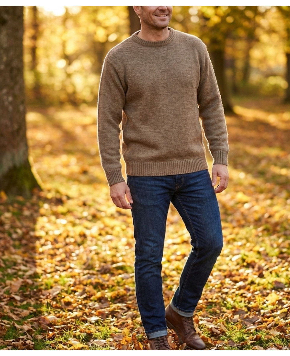 Pull homme ras‑cou Mayflower terre – confort et style