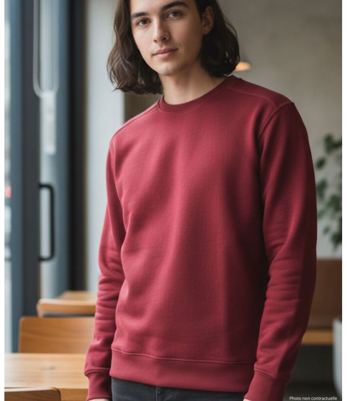 Sweat uni ras cou E213