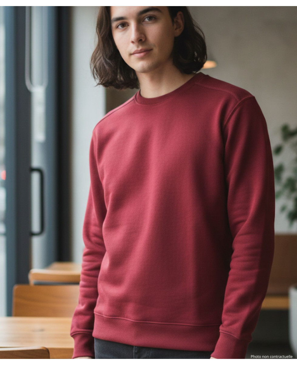 Sweat uni ras cou E213