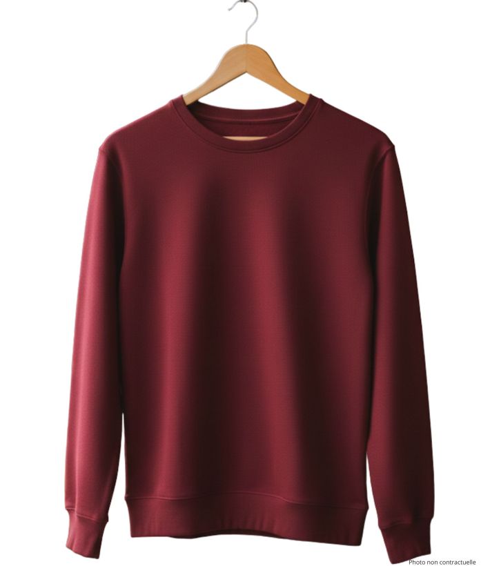 Sweat uni ras cou E213