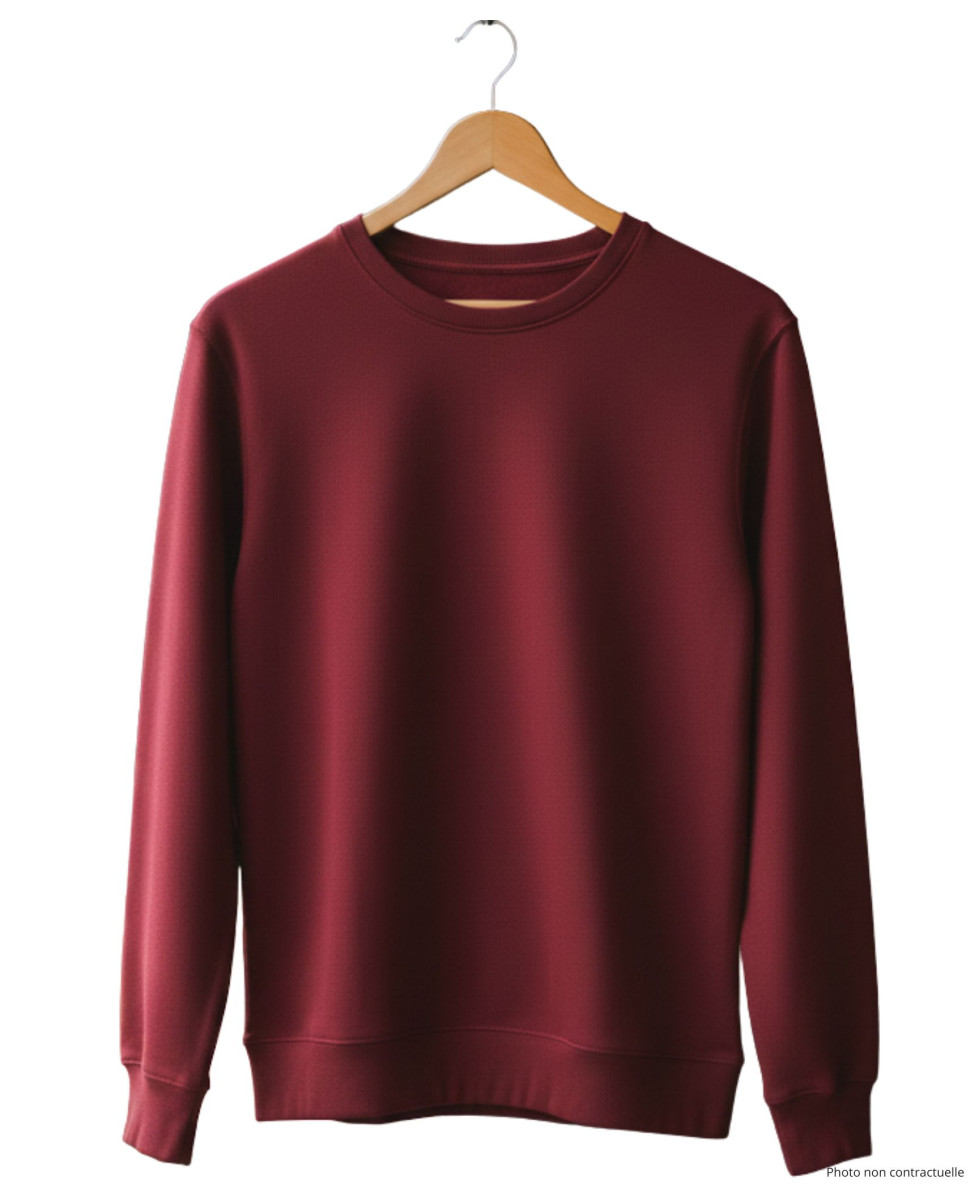 Sweat uni ras cou E213