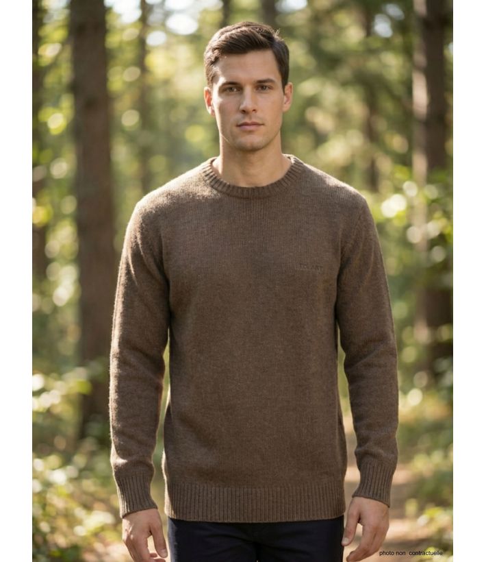 Pull Ras du Cou Homme Ledertys Marron en Maille Perlée