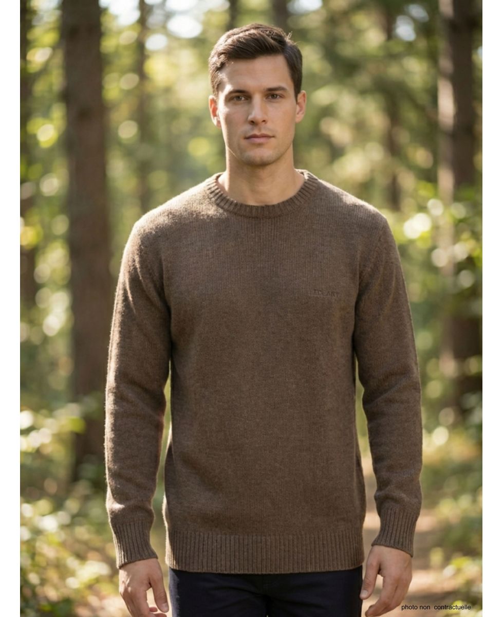 Pull Ras du Cou Homme Ledertys Marron en Maille Perlée
