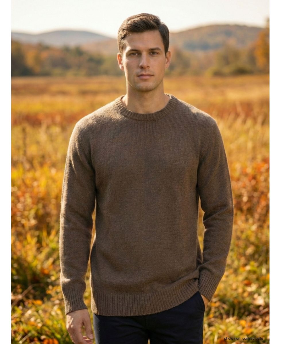 Pull Ras du Cou Homme Ledertys Marron en Maille Perlée