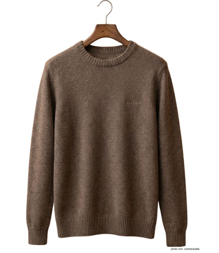 Pull Ras du Cou Homme Ledertys Marron en Maille Perlée