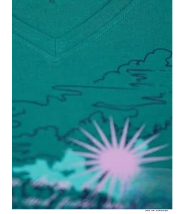 AXONE SH1063V : Tee-shirt Vert Sérigraphie Placée 46-52