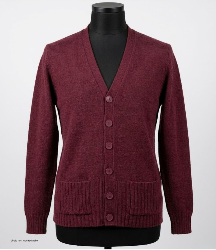 MAYFLOWER DERBY1B - Gilet Boutonné Bordeaux Laine et Douceur