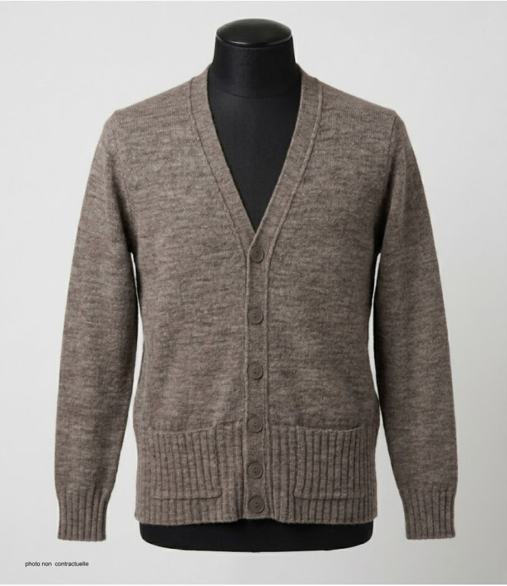MAYFLOWER DERBY2T - Gilet Boutonné Taupe Laine et Douceur
