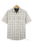 Chemise manches courtes WINCHESTER TACCOE - 100% Coton Imprimé