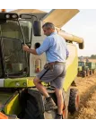 Short CHALLENGER 8L | Short homme élastiqué gris noir coton