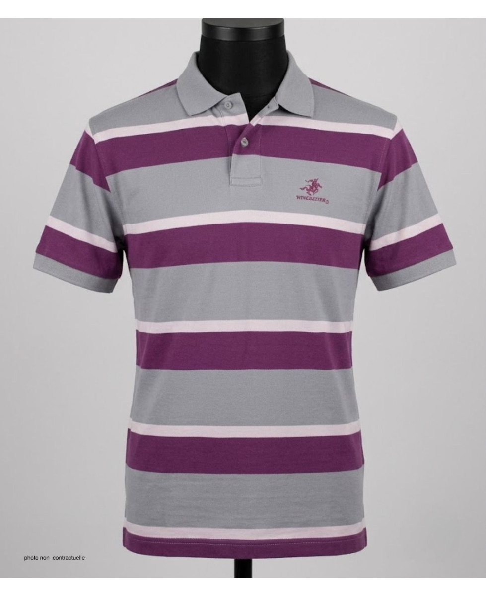 WINCHESTER ROBIN1G : Polo Homme Gris Rayé en Pur Coton