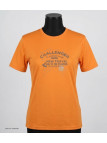 CHALLENGER STEFANO : Tee-shirt homme coton jersey orange