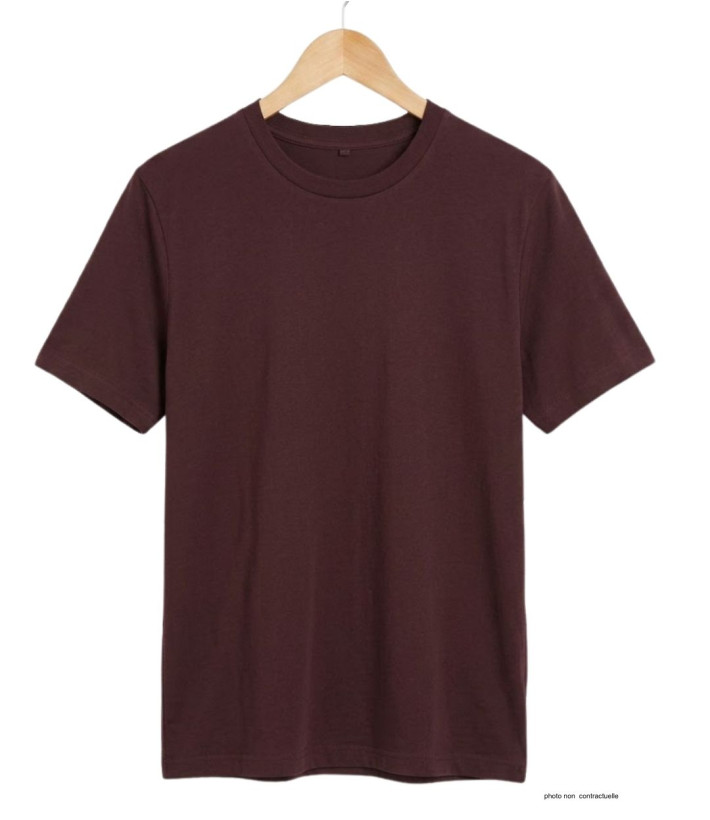 Tee-shirt CHALLENGER F110BR Ras du Cou Coton Marron