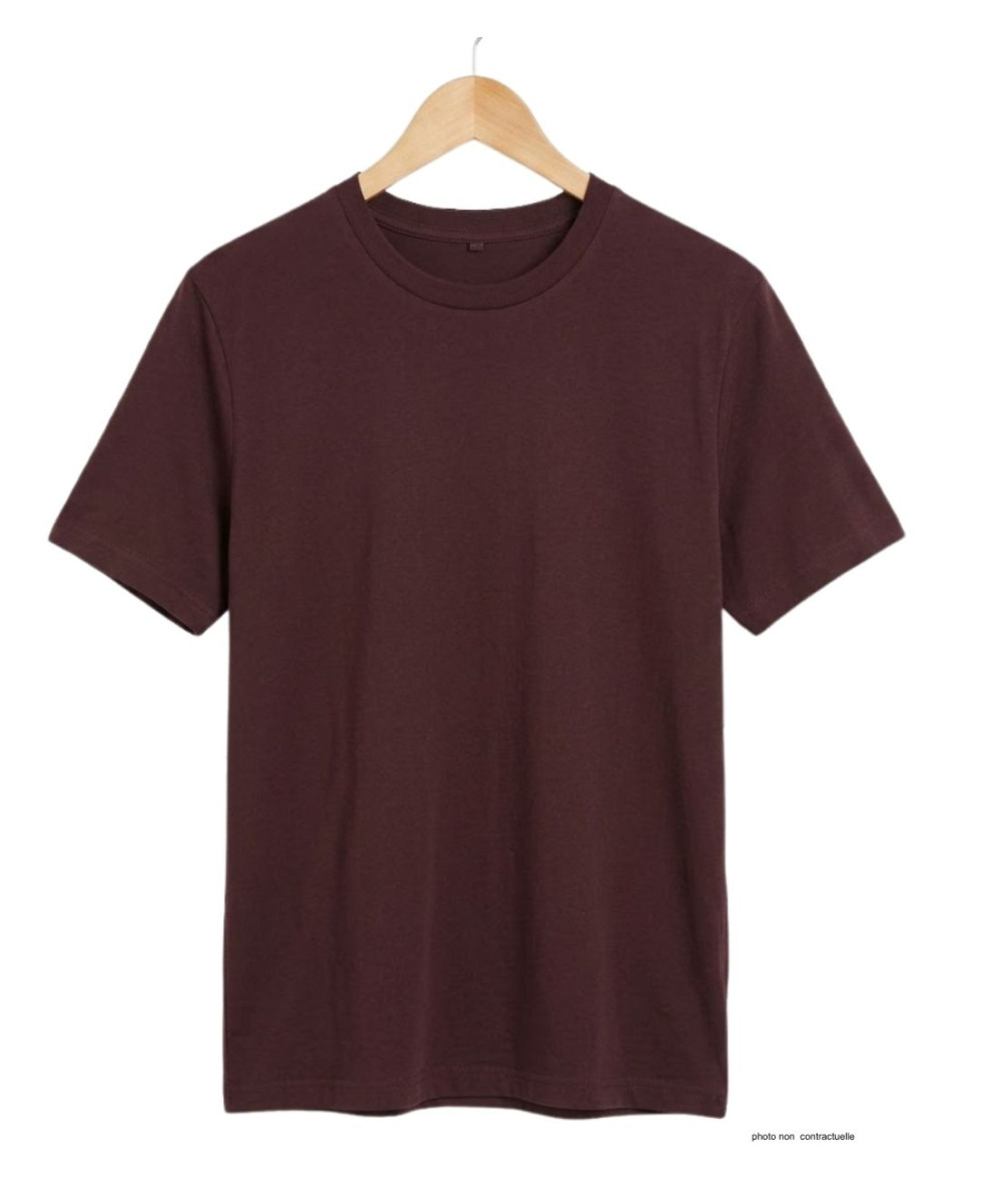 Tee-shirt CHALLENGER F110BR Ras du Cou Coton Marron