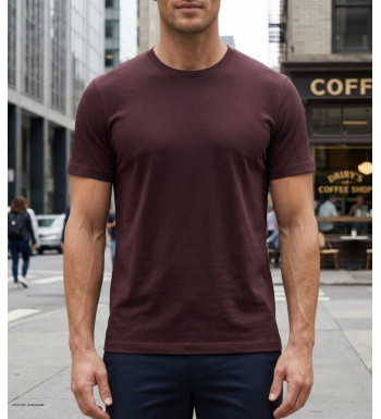 Tee-shirt uni manches courtes ras du cou pour homme, modèle F110BR coloris brun marron en pur coton de la marque CHALLENGER.