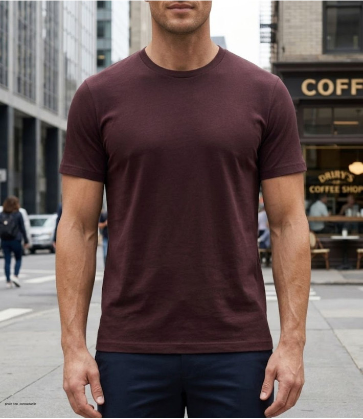 Tee-shirt uni manches courtes ras du cou pour homme, modèle F110BR coloris brun marron en pur coton de la marque CHALLENGER.