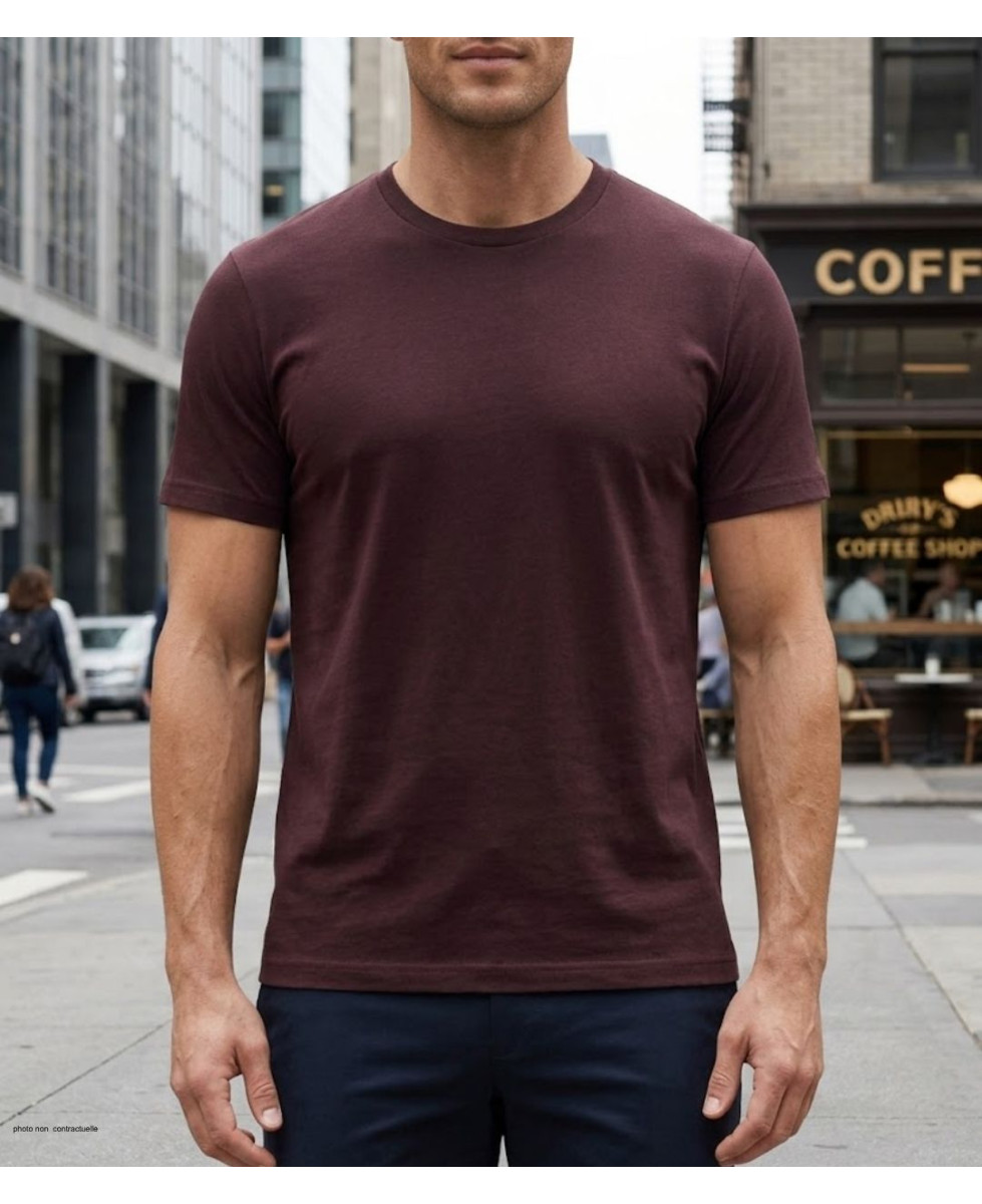 Tee-shirt uni manches courtes ras du cou pour homme, modèle F110BR coloris brun marron en pur coton de la marque CHALLENGER.
