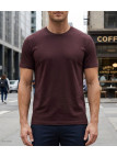Tee-shirt uni manches courtes ras du cou pour homme, modèle F110BR coloris brun marron en pur coton de la marque CHALLENGER.