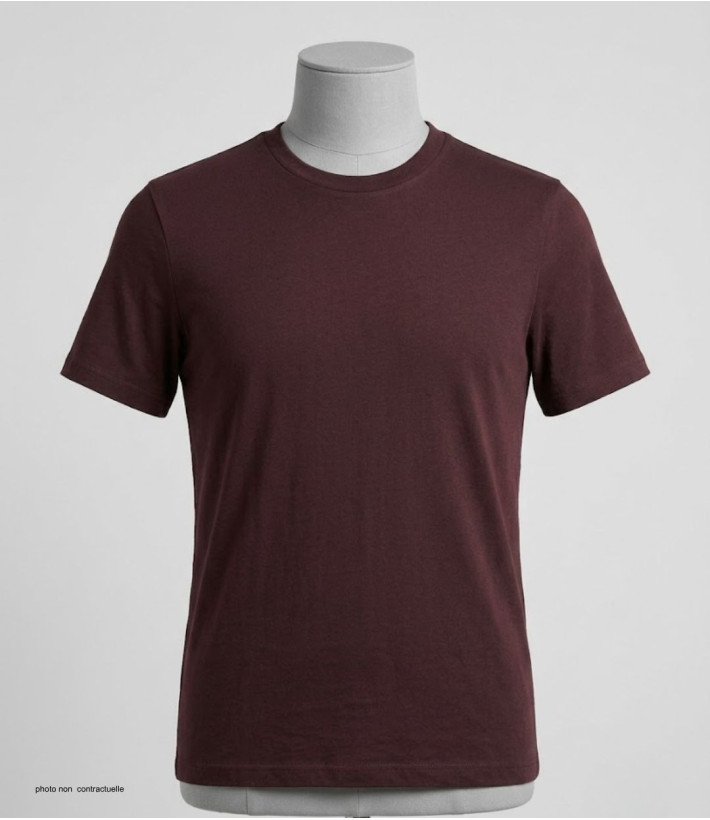 Tee-shirt CHALLENGER F110BR Ras du Cou Coton Marron