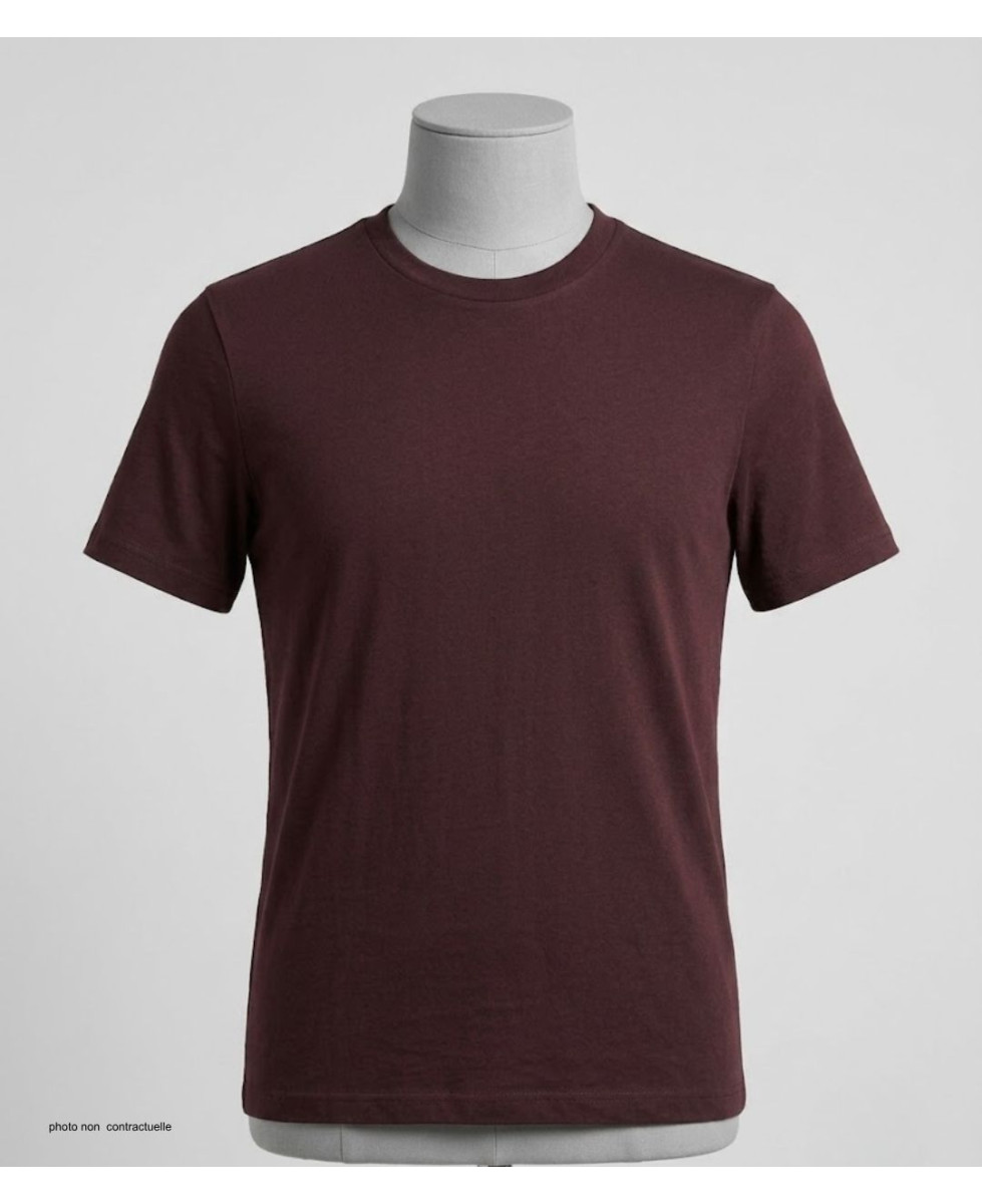 Tee-shirt CHALLENGER F110BR Ras du Cou Coton Marron