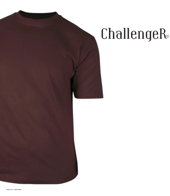Tee-shirt CHALLENGER F110BR Ras du Cou Coton Marron