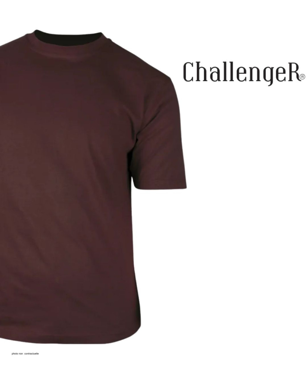 Tee-shirt CHALLENGER F110BR Ras du Cou Coton Marron