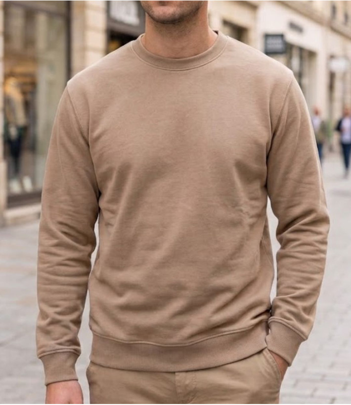 Sweat col rond homme beige CHALLENGER E213