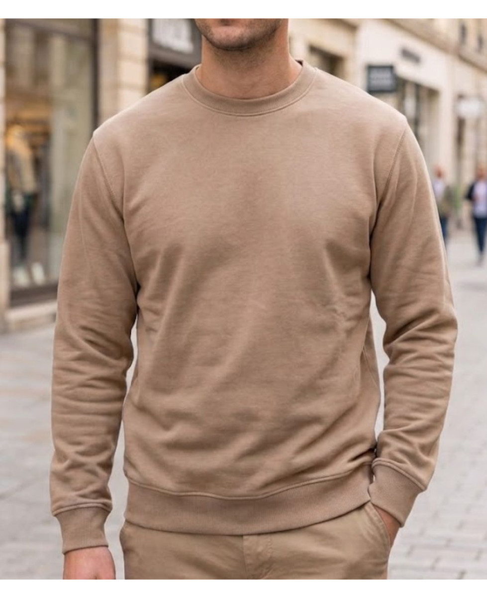 Sweat col rond homme beige CHALLENGER E213