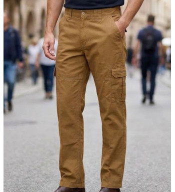 Pantalon homme WINCHESTER WILD2C coloris camel en pur coton