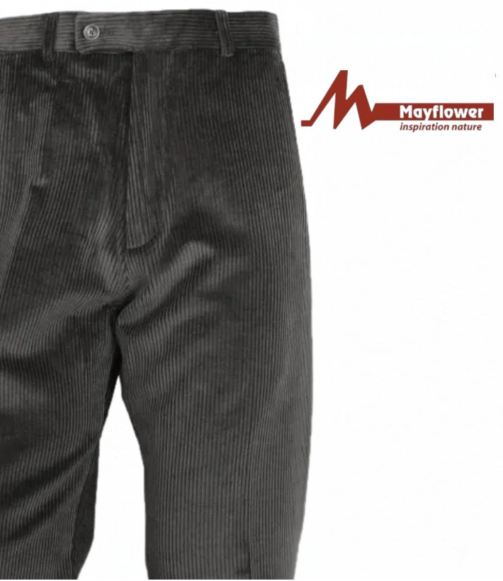 MAYFLOWER D373 — Pantalon velours extensible gris homme