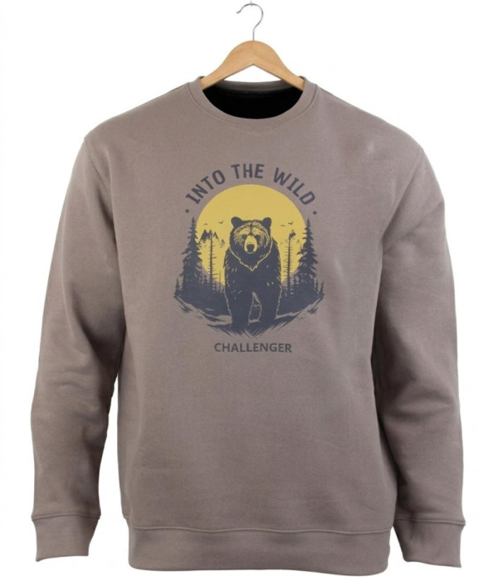 CHALLENGER PARK3 — Sweat Imprimé Taupe Homme