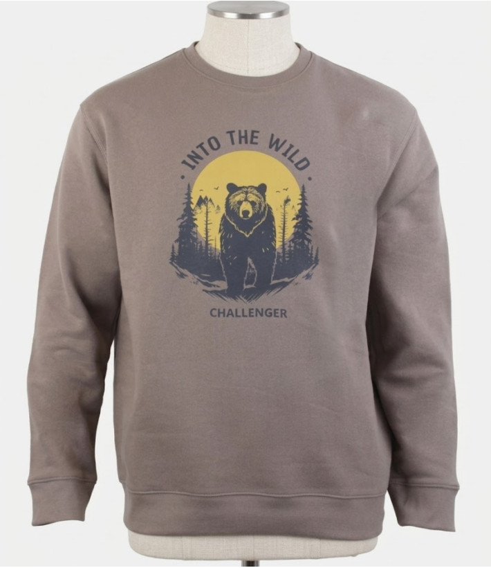 CHALLENGER PARK3 — Sweat Imprimé Taupe Homme