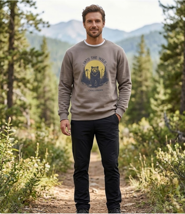 CHALLENGER PARK3 — Sweat Imprimé Taupe Homme