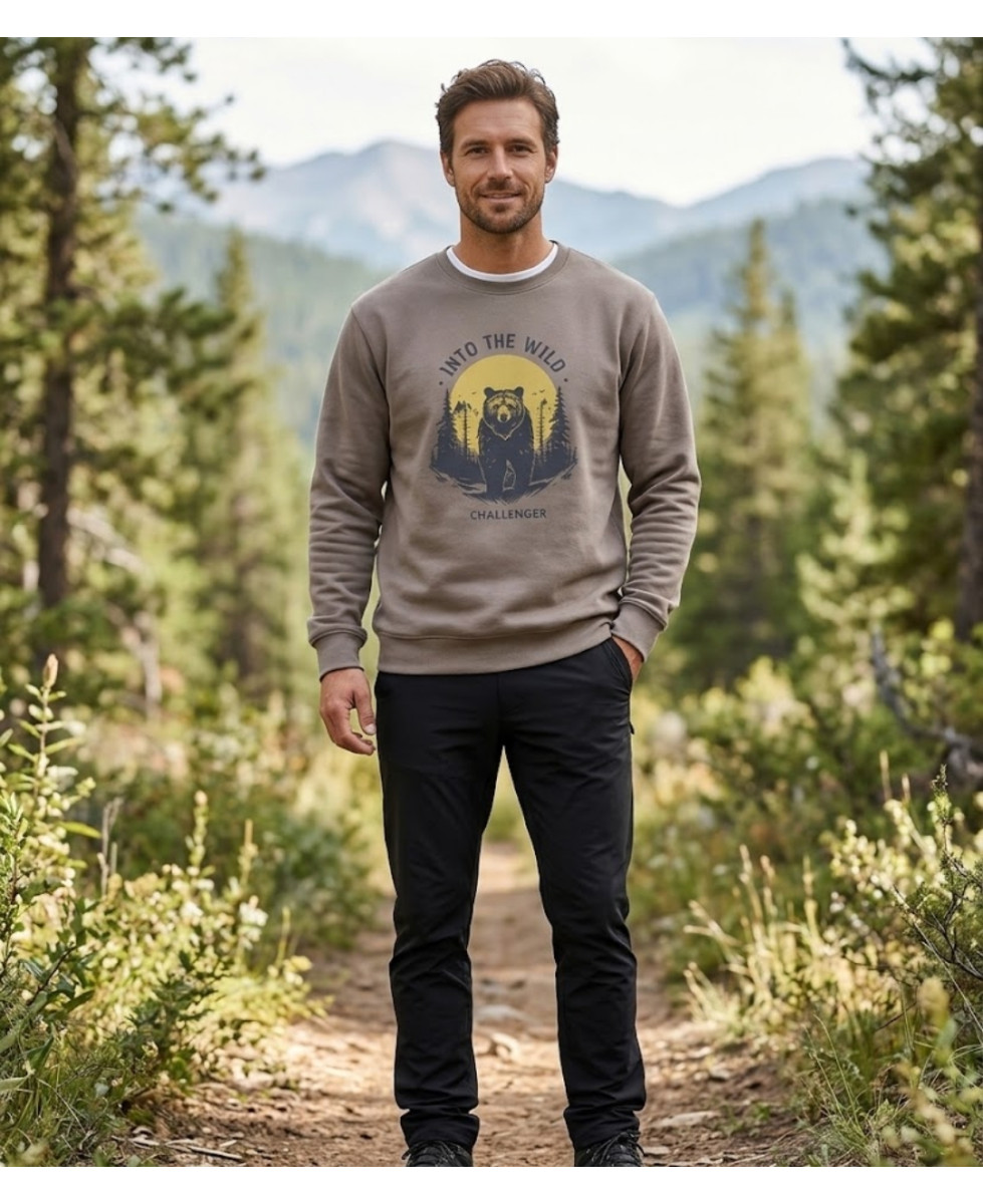 CHALLENGER PARK3 — Sweat Imprimé Taupe Homme