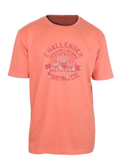 Tee - shirt  sérigraphie poitrine A2133B