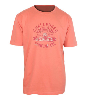 Tee - shirt  sérigraphie poitrine A2133B