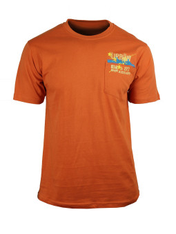 Tee - shirt manches courtes AE1142O