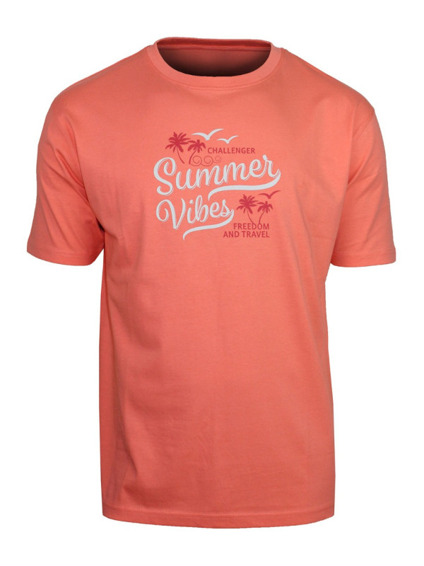 Tee - shirt SAMPA2