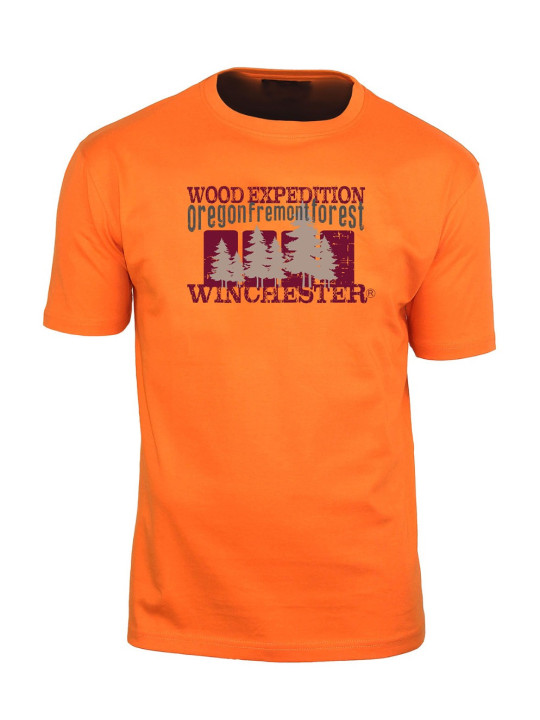 Tee - shirt SELWIN2