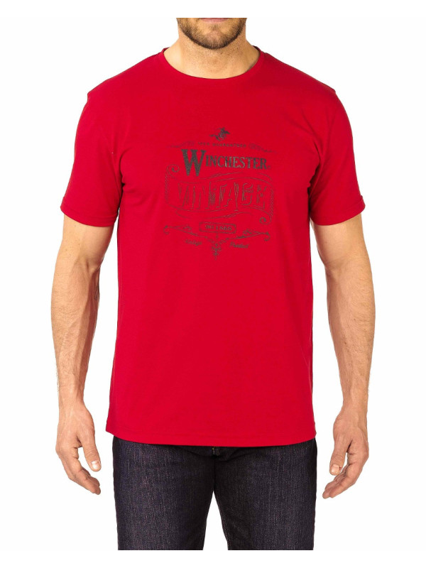 Tee - shirt STARK2