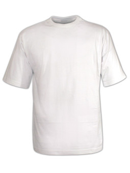Tee - shirt uni ras du cou 510111U001
