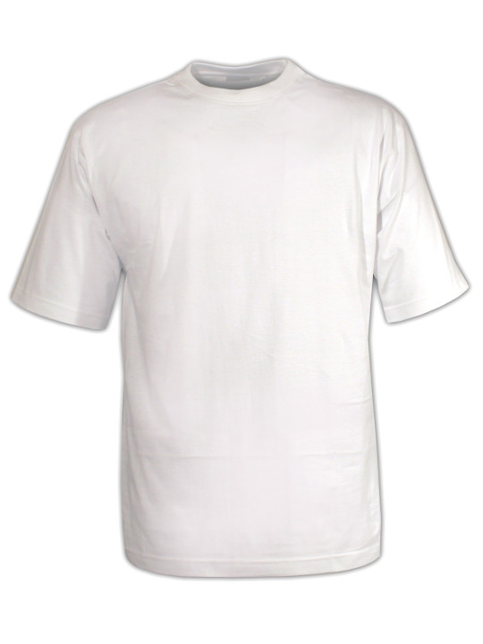 Tee - shirt uni ras du cou 510111U001