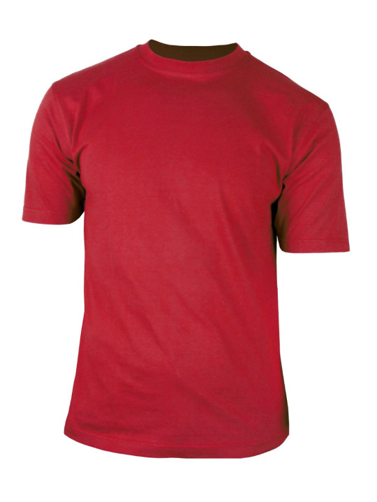 Tee - shirt uni ras du cou 510110U002