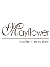 MAYFLOWER